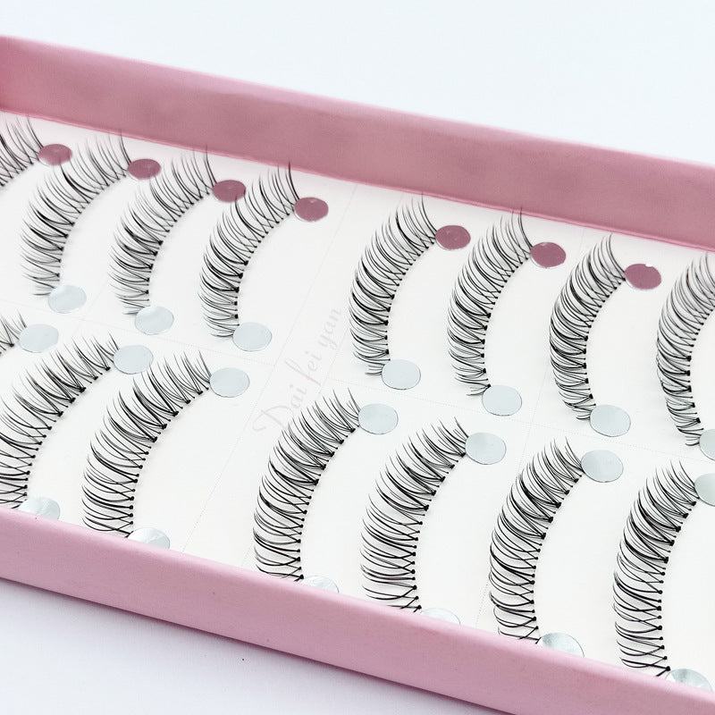 False Eyelashes 10 Pairs