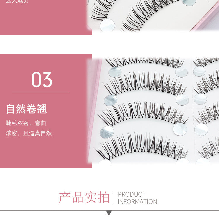 False Eyelashes 10 Pairs