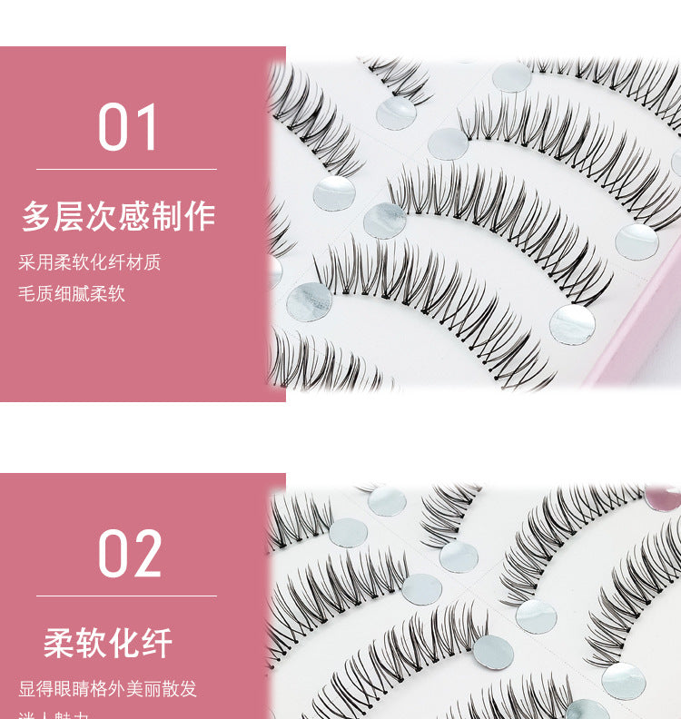 False Eyelashes 10 Pairs